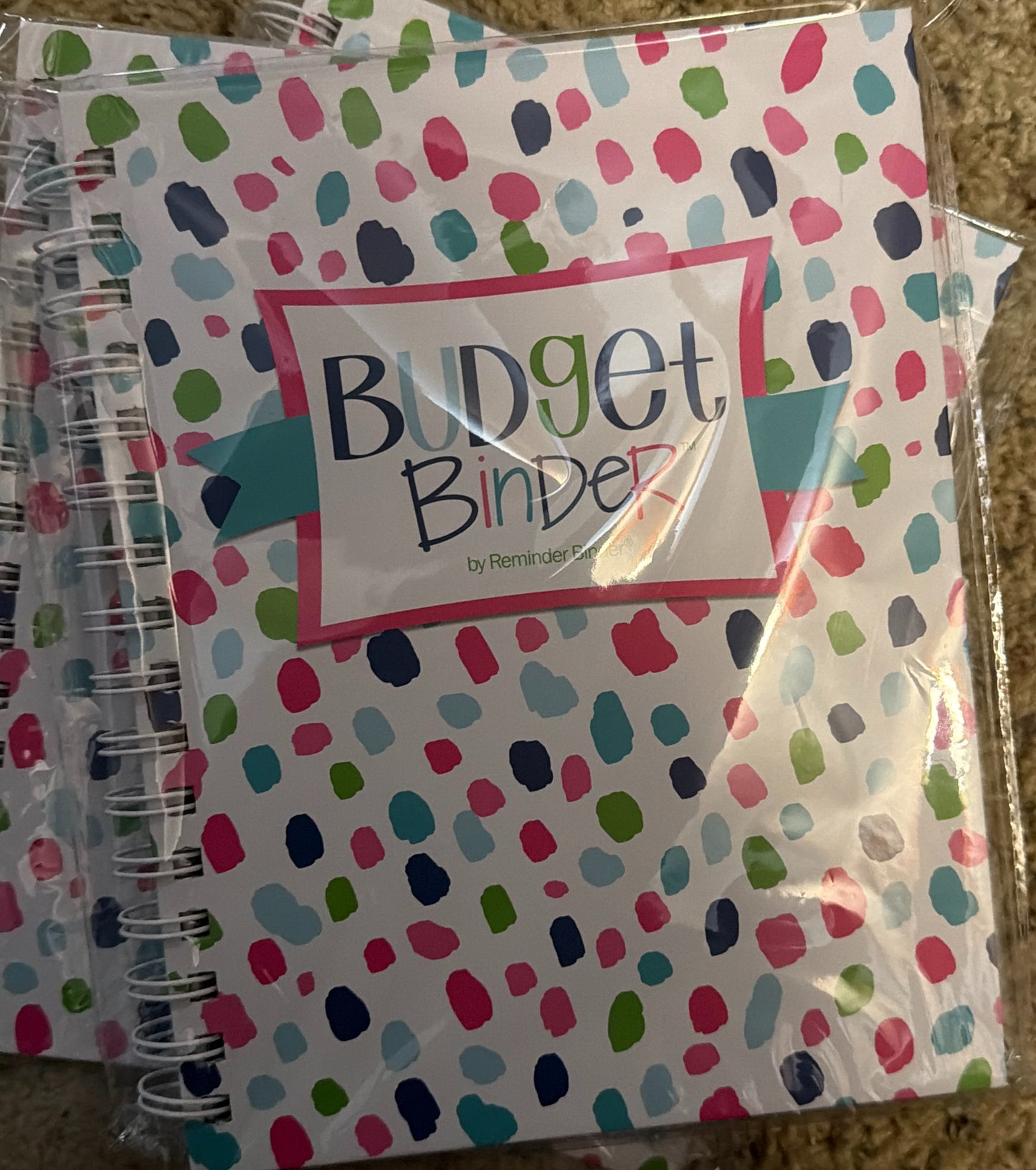 Colorful Budget Binder Journal | Financial Planner Notebook | Money Tracker for Women | Multiple Designs Available