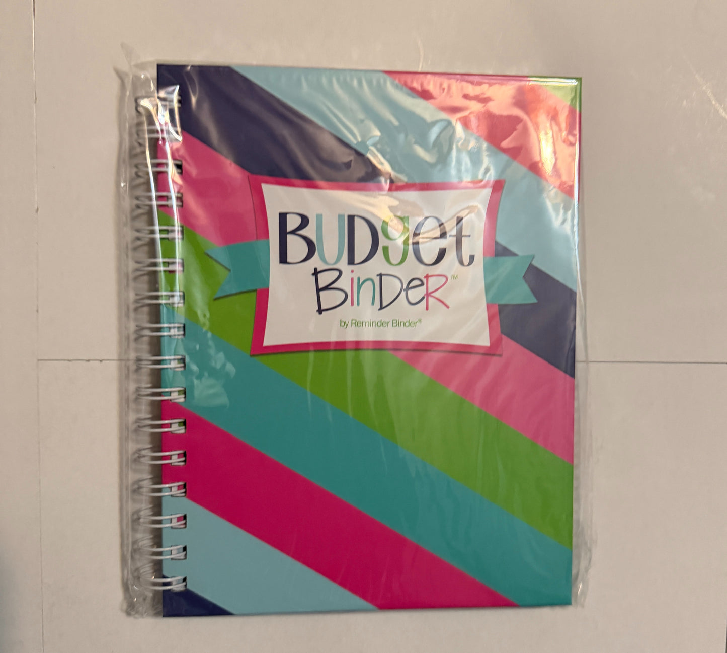 Colorful Budget Binder Journal | Financial Planner Notebook | Money Tracker for Women | Multiple Designs Available