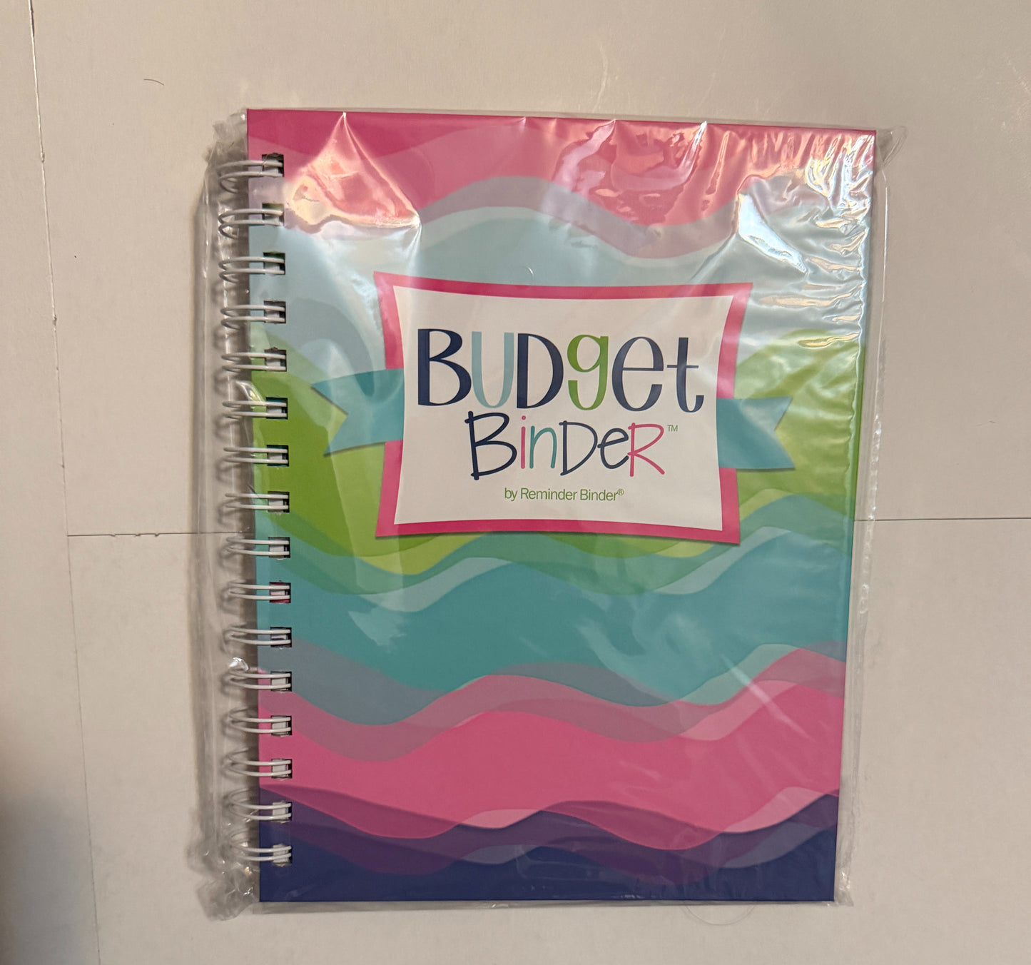 Colorful Budget Binder Journal | Financial Planner Notebook | Money Tracker for Women | Multiple Designs Available